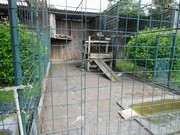 Výlet do ZOO Chleby a Labyrintária Loučeň